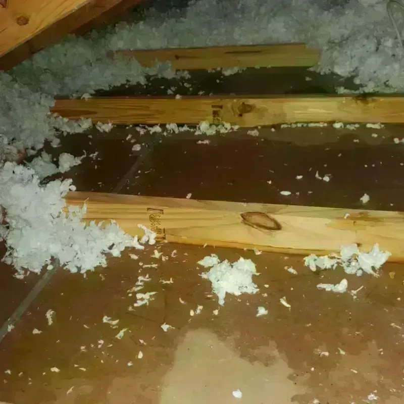 Attic Water Damage in Mason County, TX