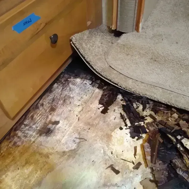 Wood Floor Water Damage in Mason County, TX